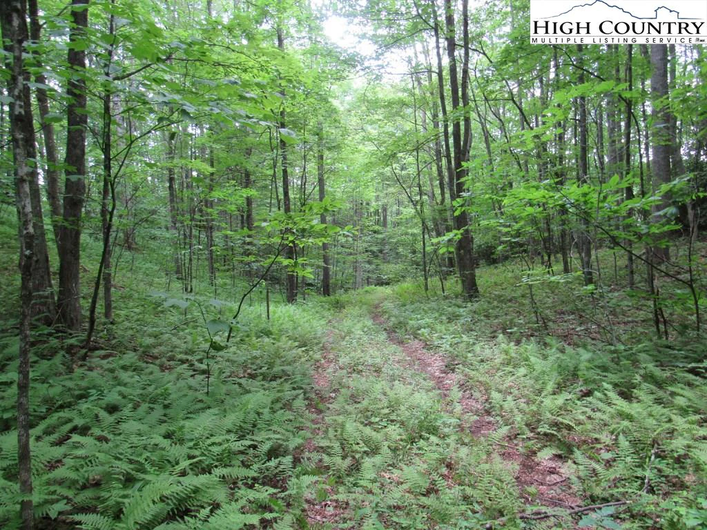 Image number 21 for the current listing