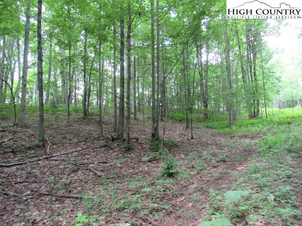 Image number 20 for the current listing
