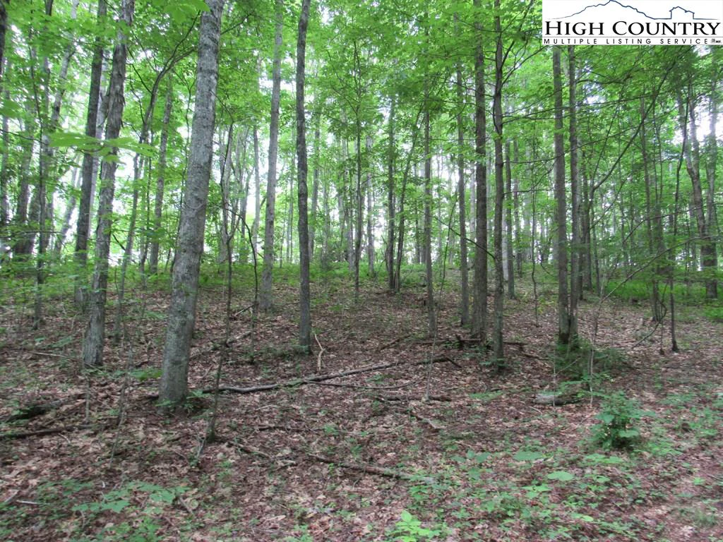 Image number 19 for the current listing