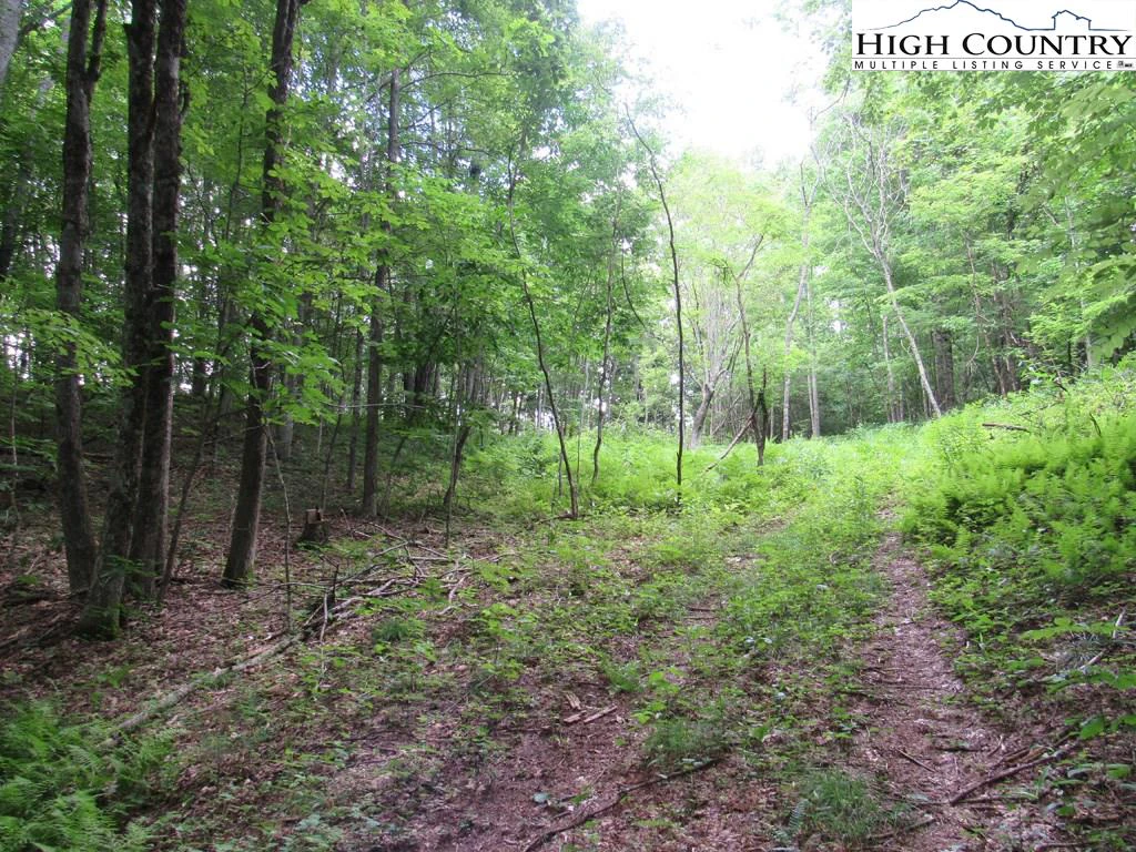 Image number 18 for the current listing