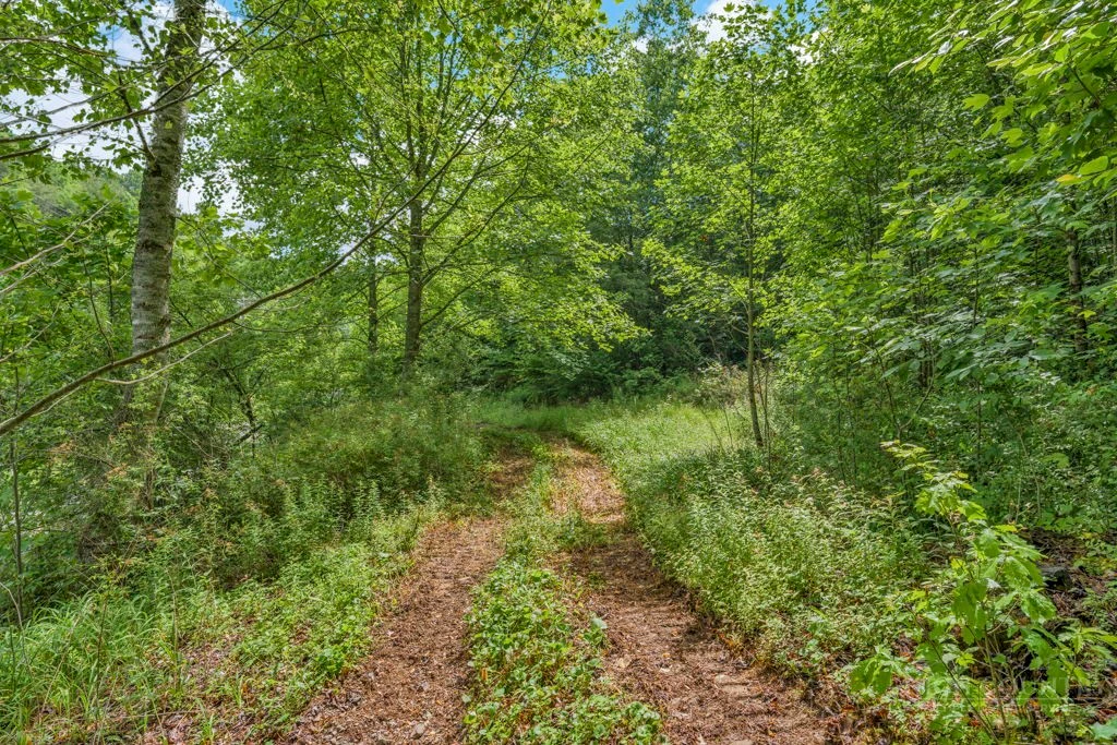 Image number 2 for the current listing