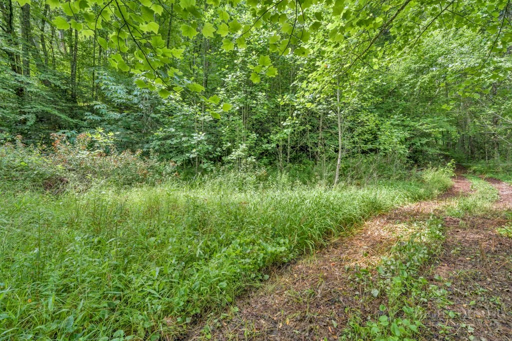 Image number 9 for the current listing