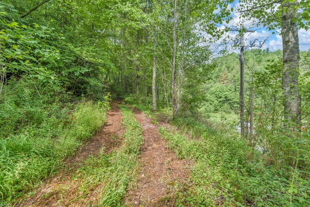 Image number 10 for the current listing
