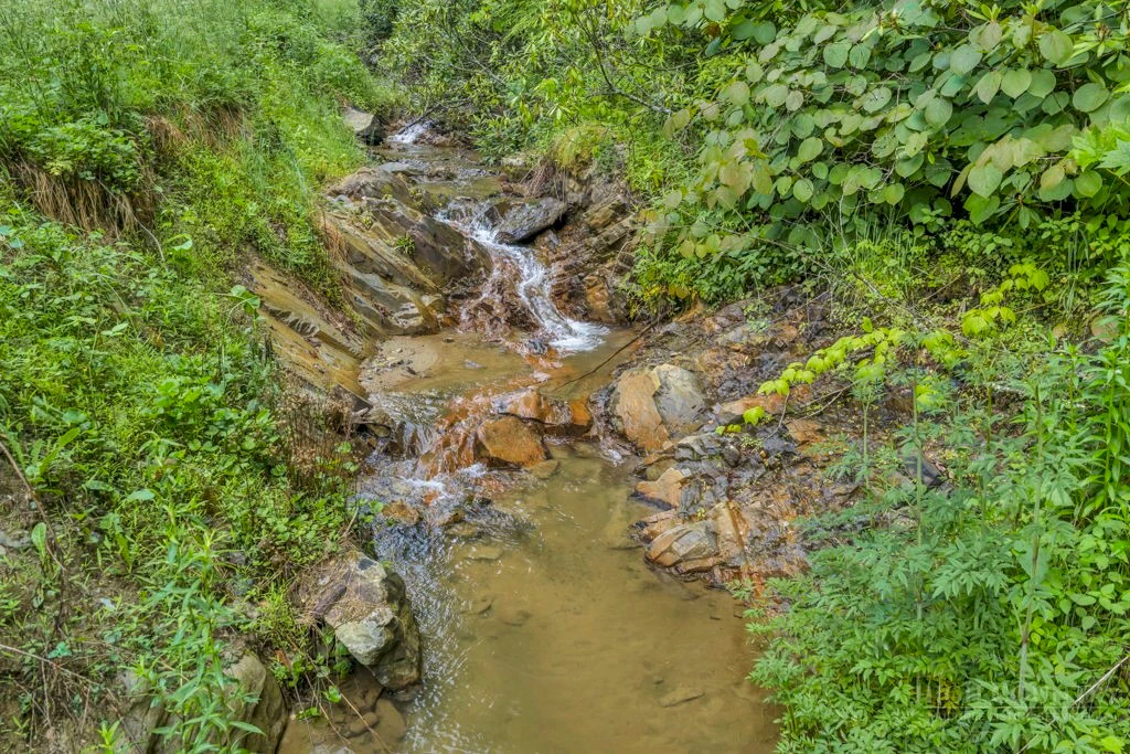 Image number 4 for the current listing