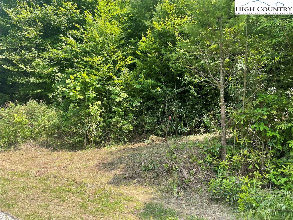 Image number 4 for the current listing