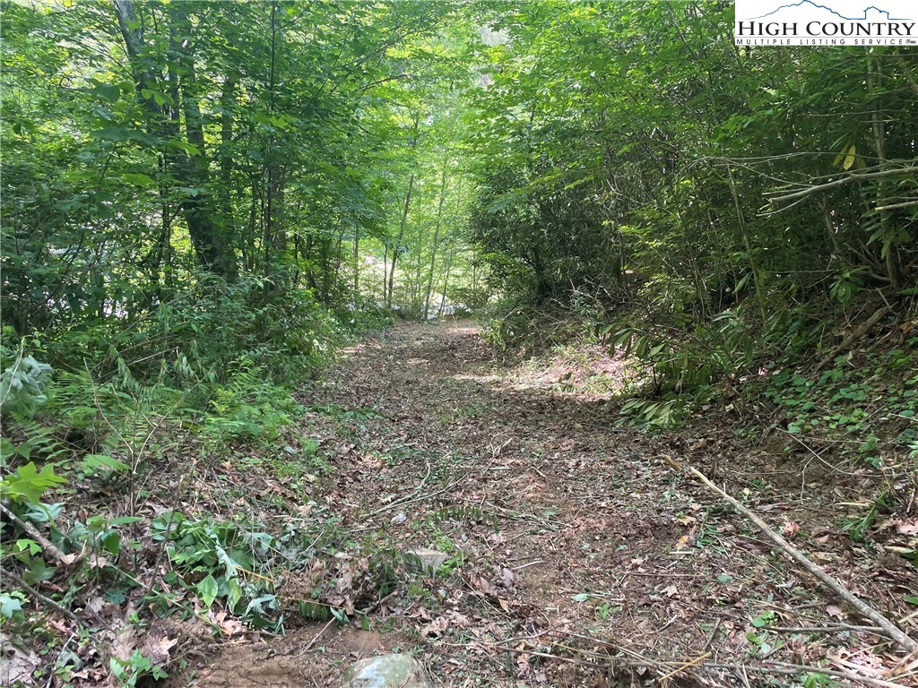 Image number 1 for the current listing