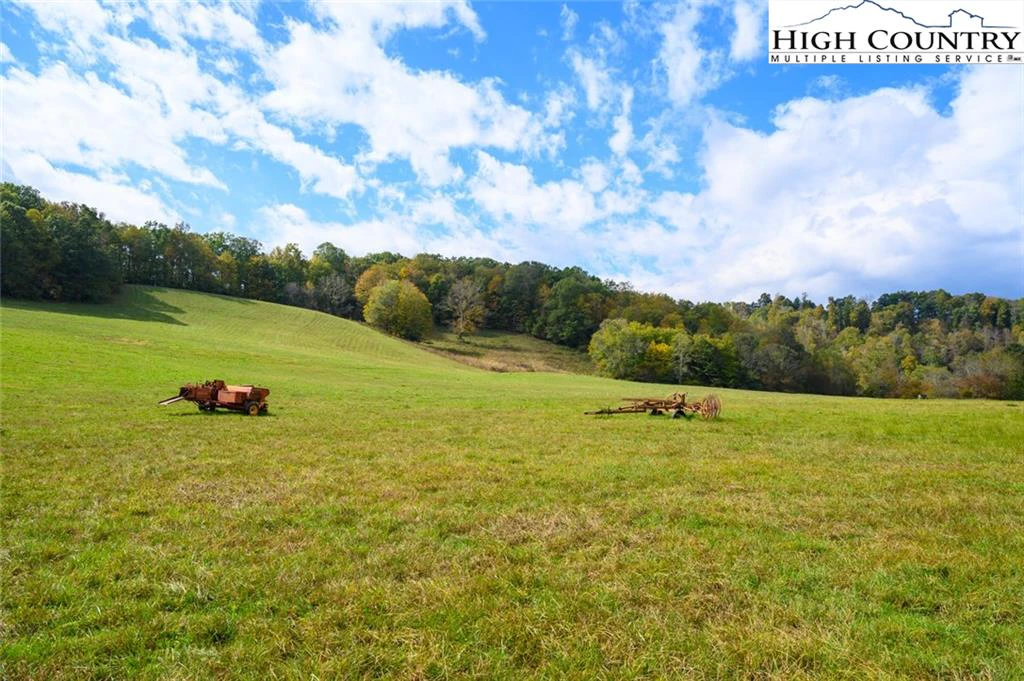 Image number 11 for the current listing