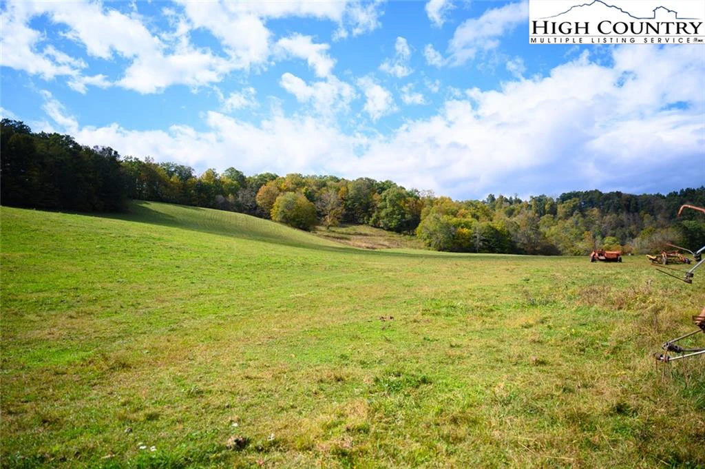 Image number 4 for the current listing