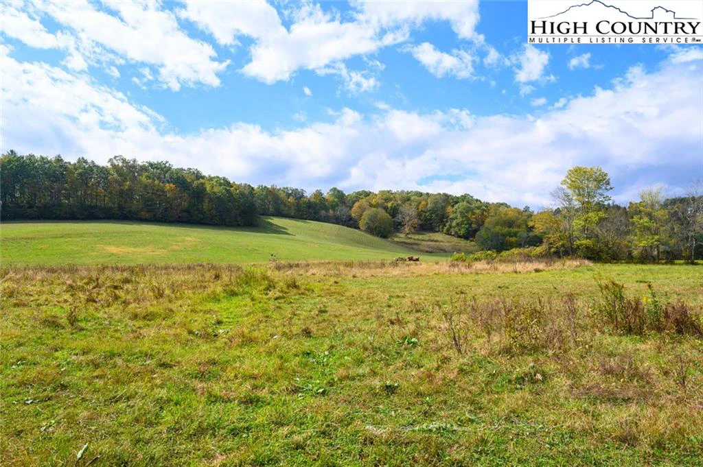 Image number 6 for the current listing
