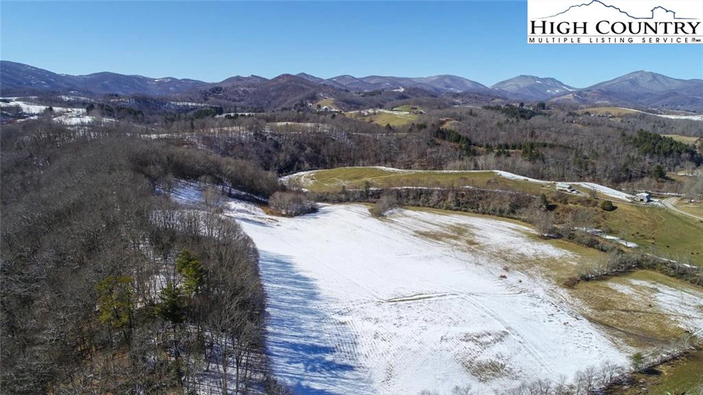 Image number 2 for the current listing