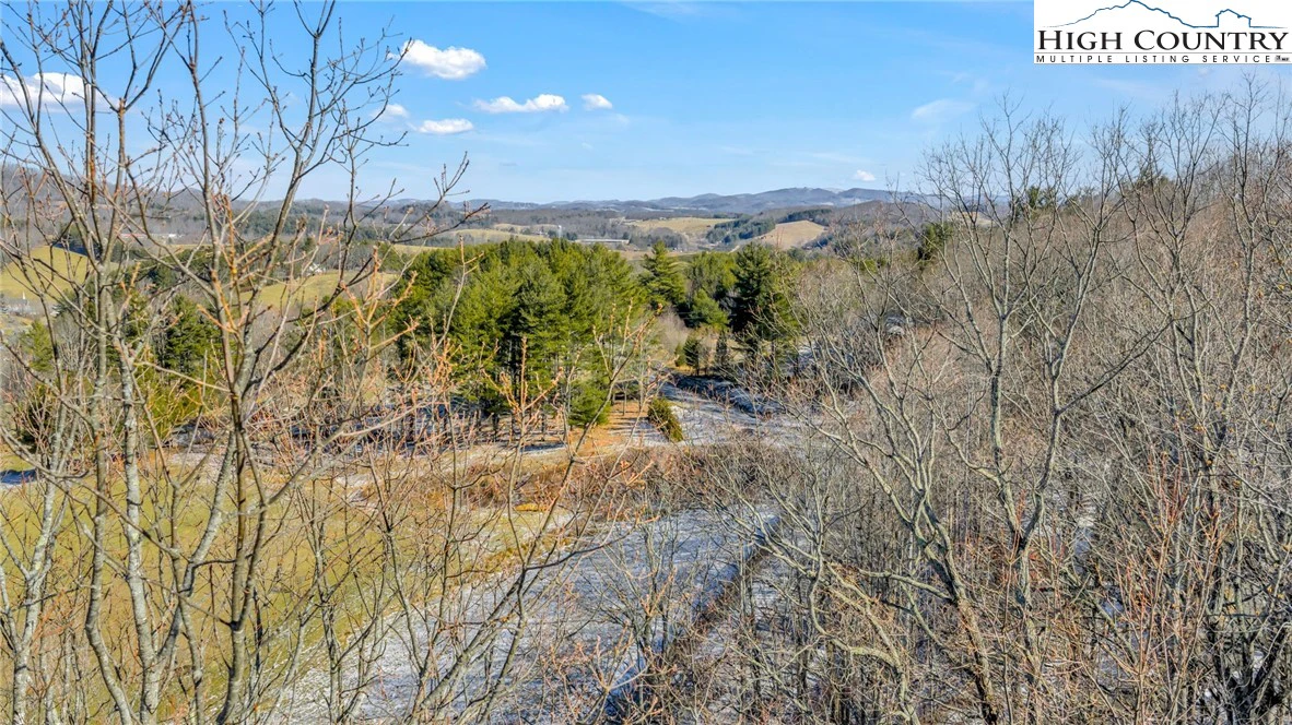 Image number 12 for the current listing