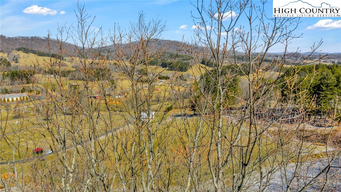 Image number 2 for the current listing