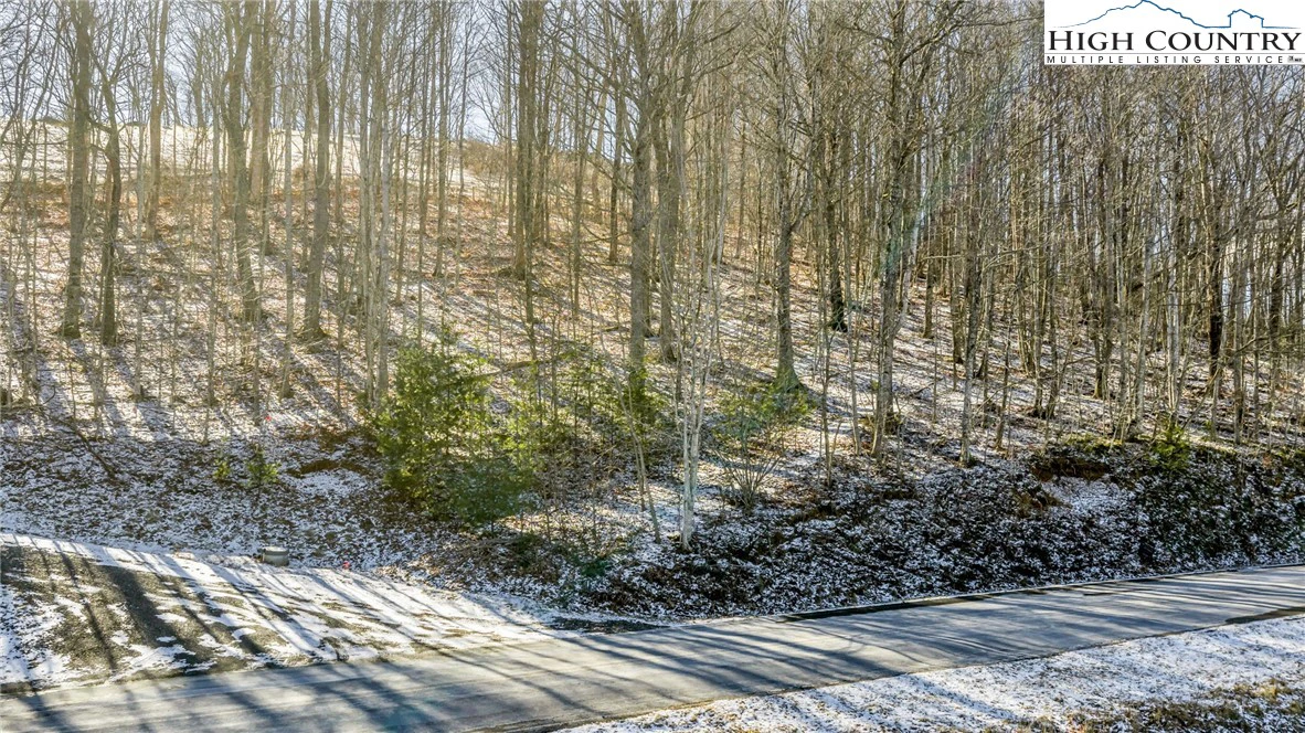 Image number 7 for the current listing