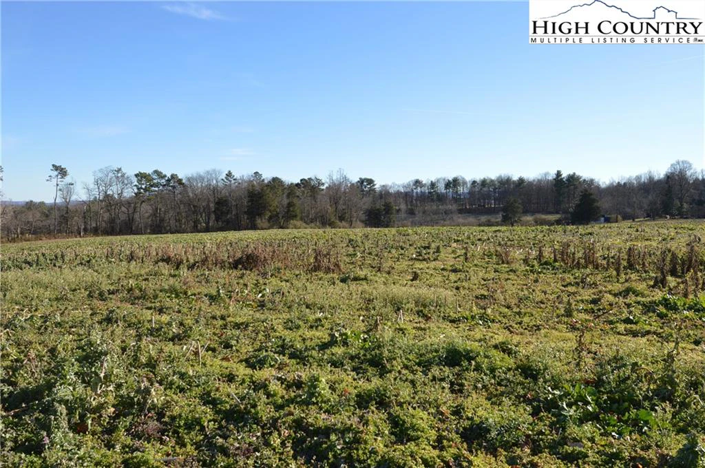 Image number 1 for the current listing