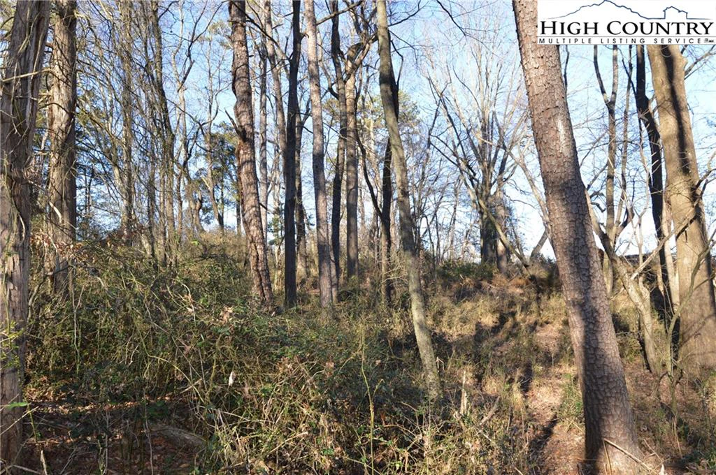 Image number 2 for the current listing