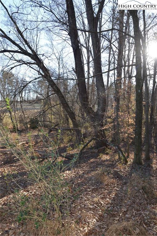 Image number 12 for the current listing