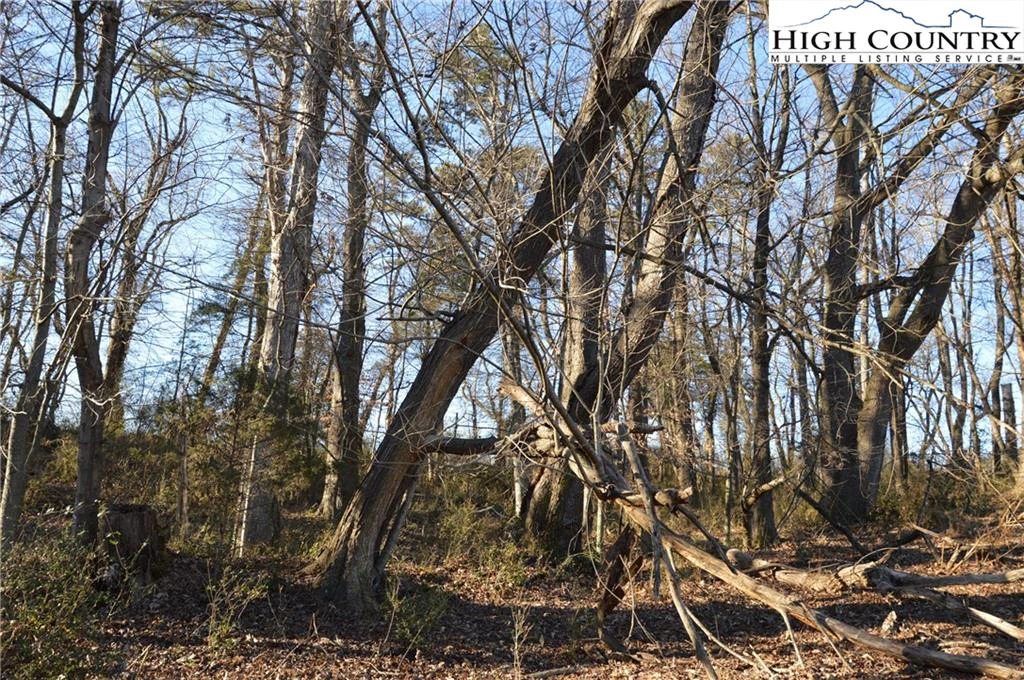 Image number 11 for the current listing