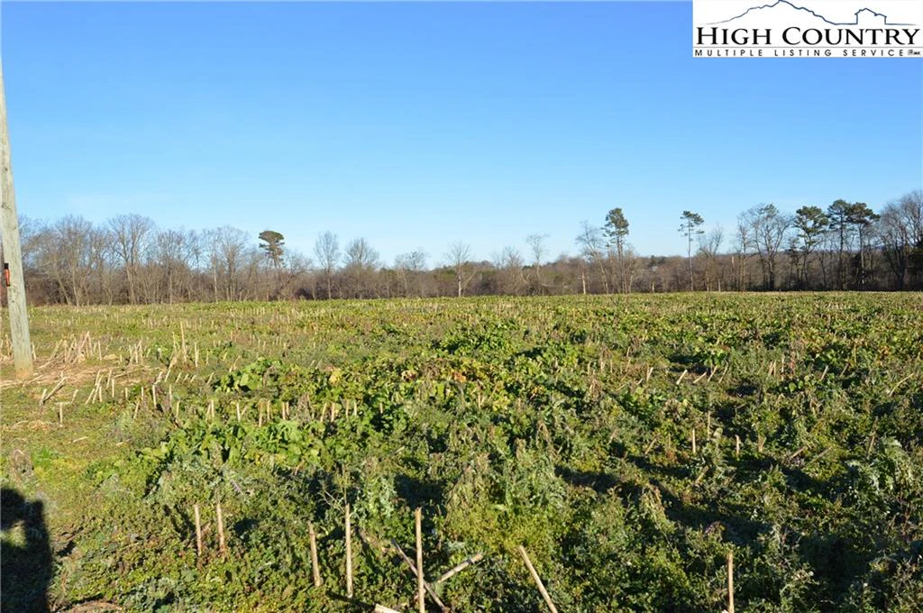 Image number 9 for the current listing