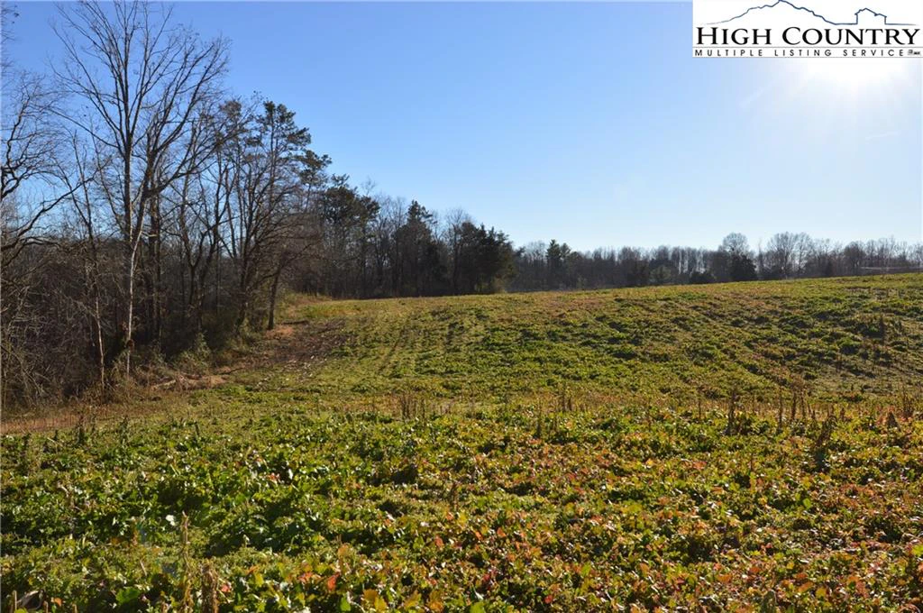 Image number 20 for the current listing