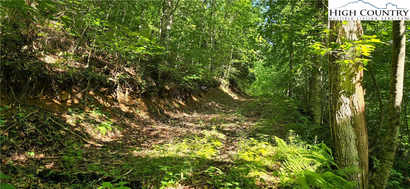 Image number 15 for the current listing