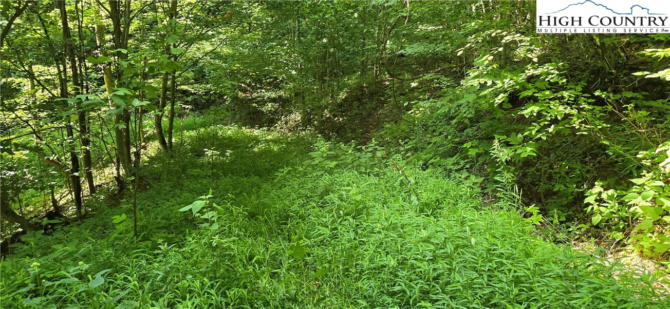 Image number 14 for the current listing