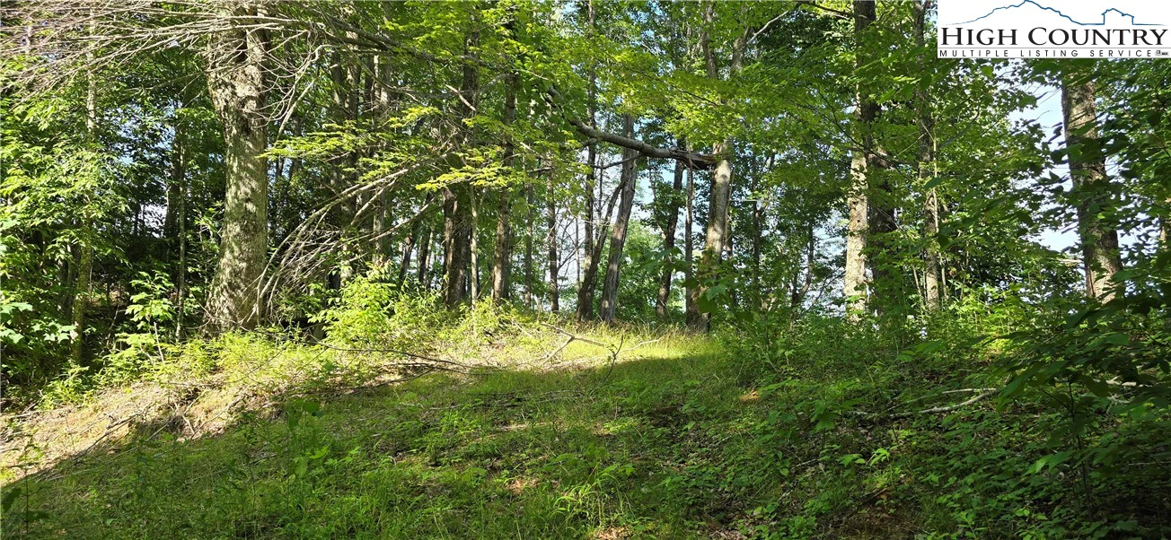 Image number 13 for the current listing