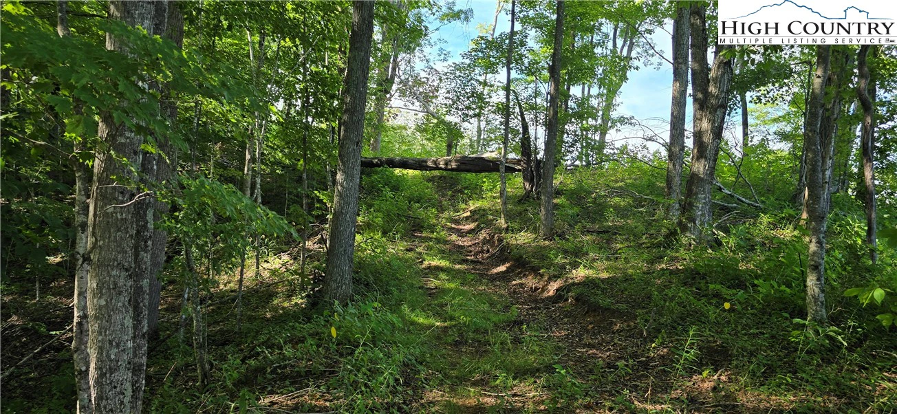 Image number 11 for the current listing