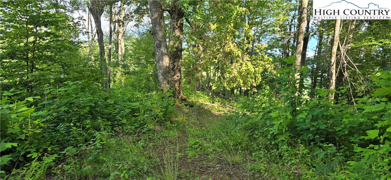 Image number 10 for the current listing