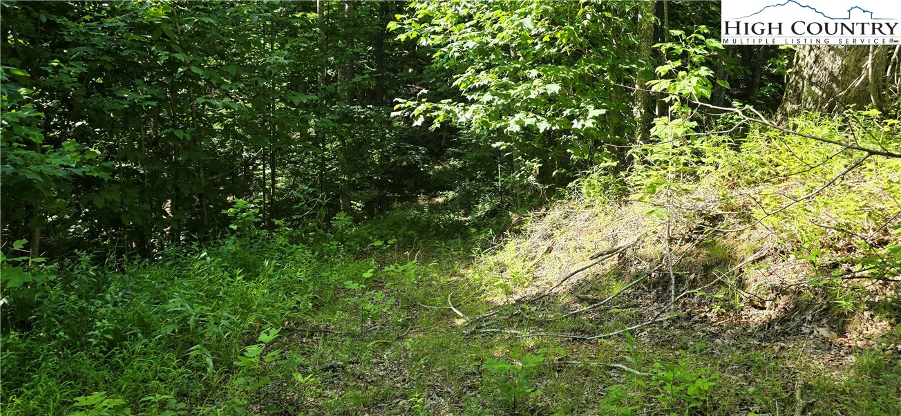 Image number 8 for the current listing
