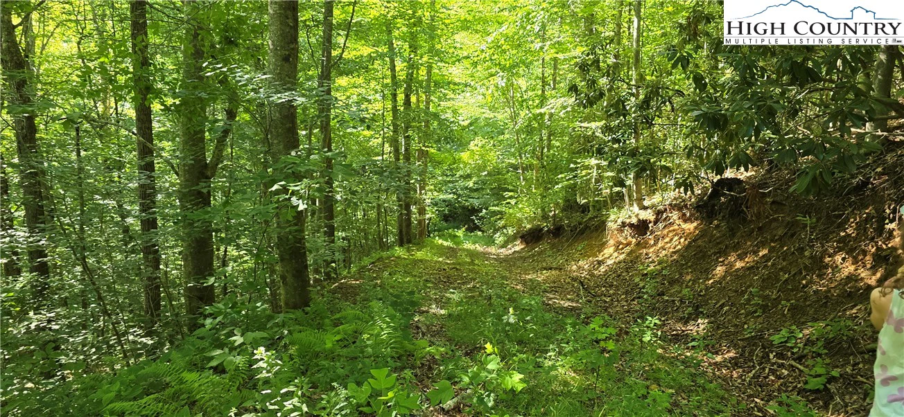Image number 7 for the current listing
