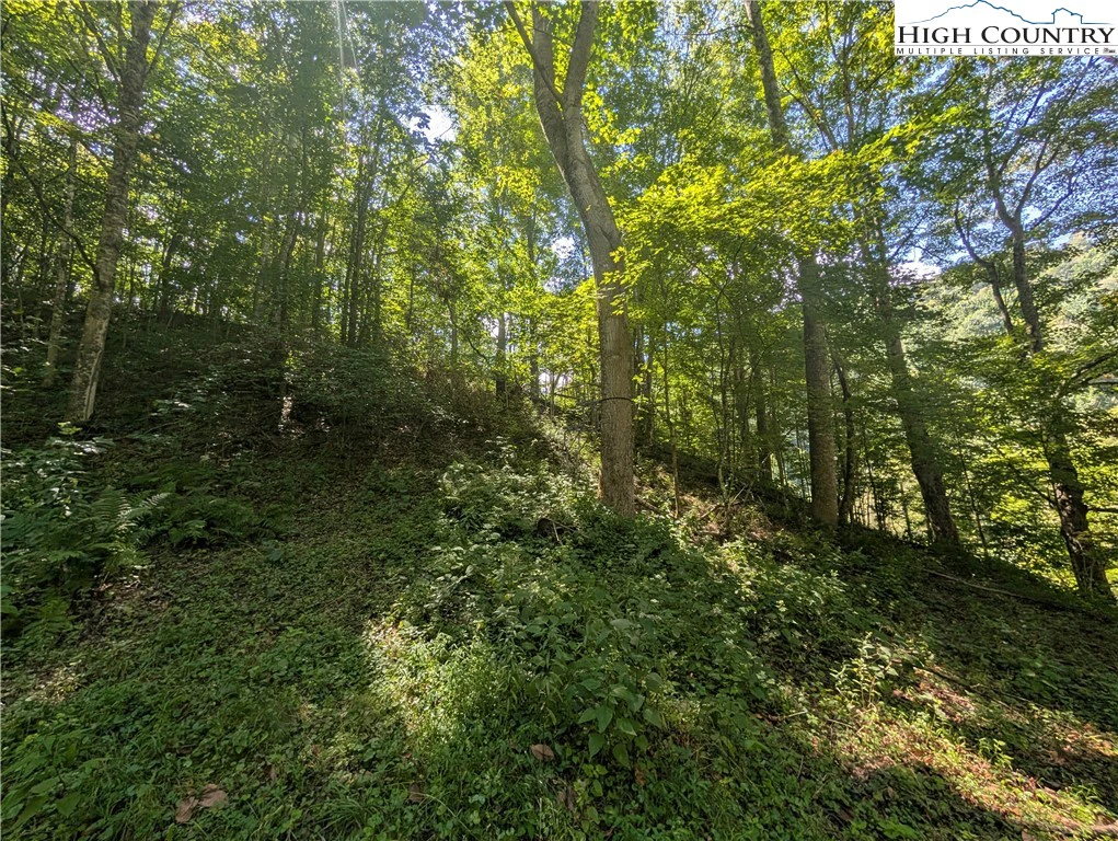 Image number 19 for the current listing