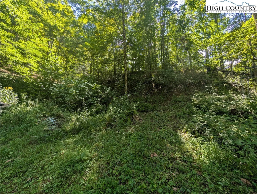 Image number 2 for the current listing