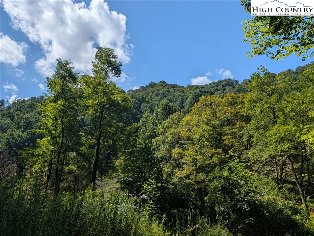 Image number 1 for the current listing