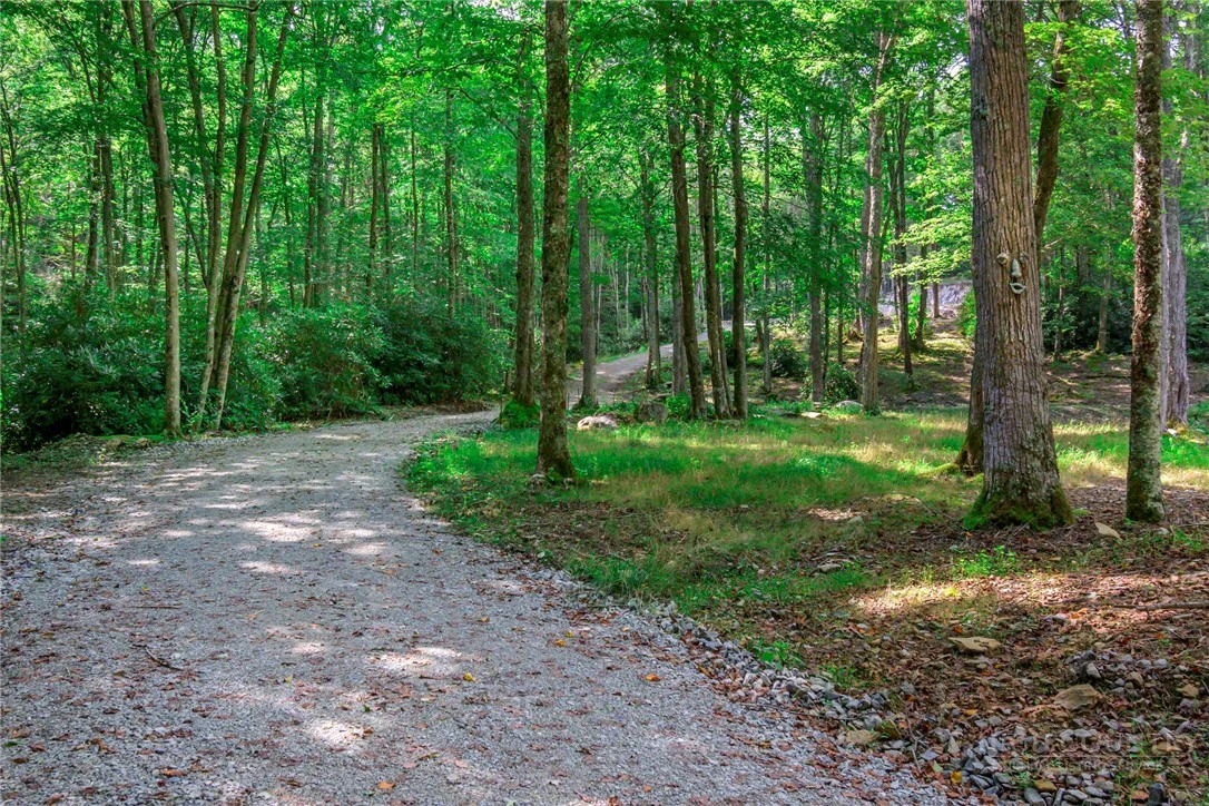 Image number 5 for the current listing