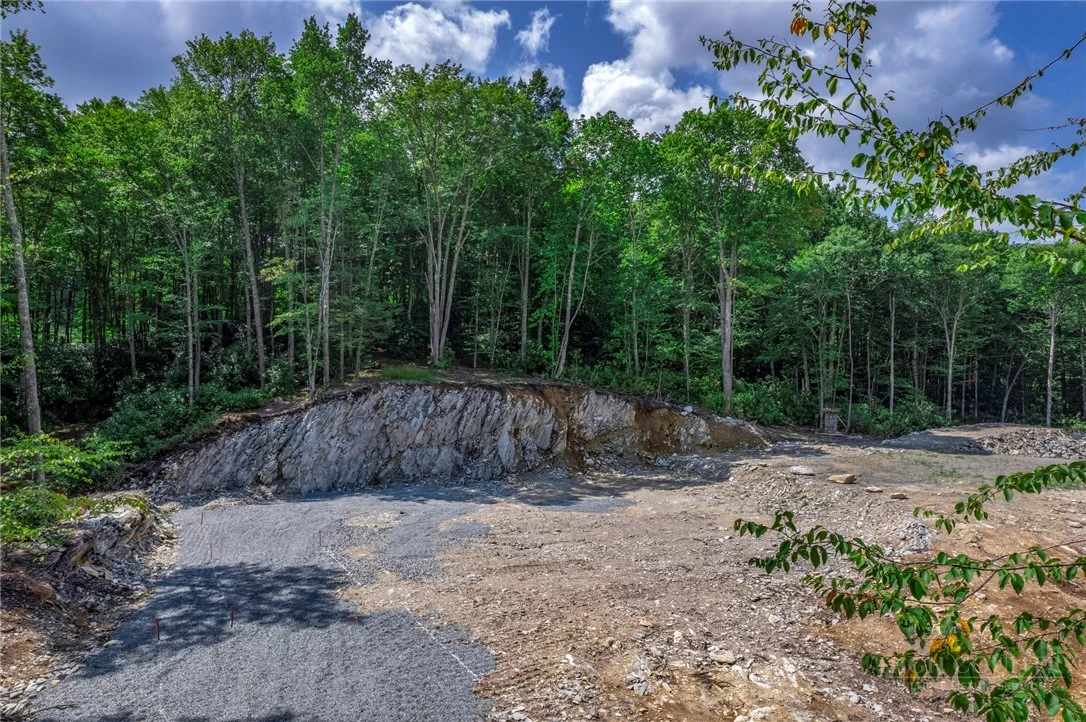 Image number 8 for the current listing