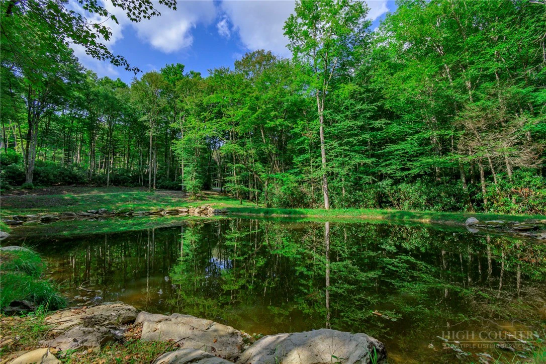 Image number 11 for the current listing