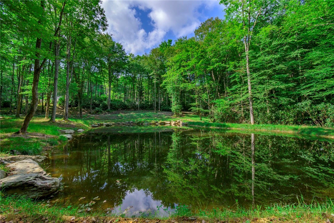 Image number 12 for the current listing