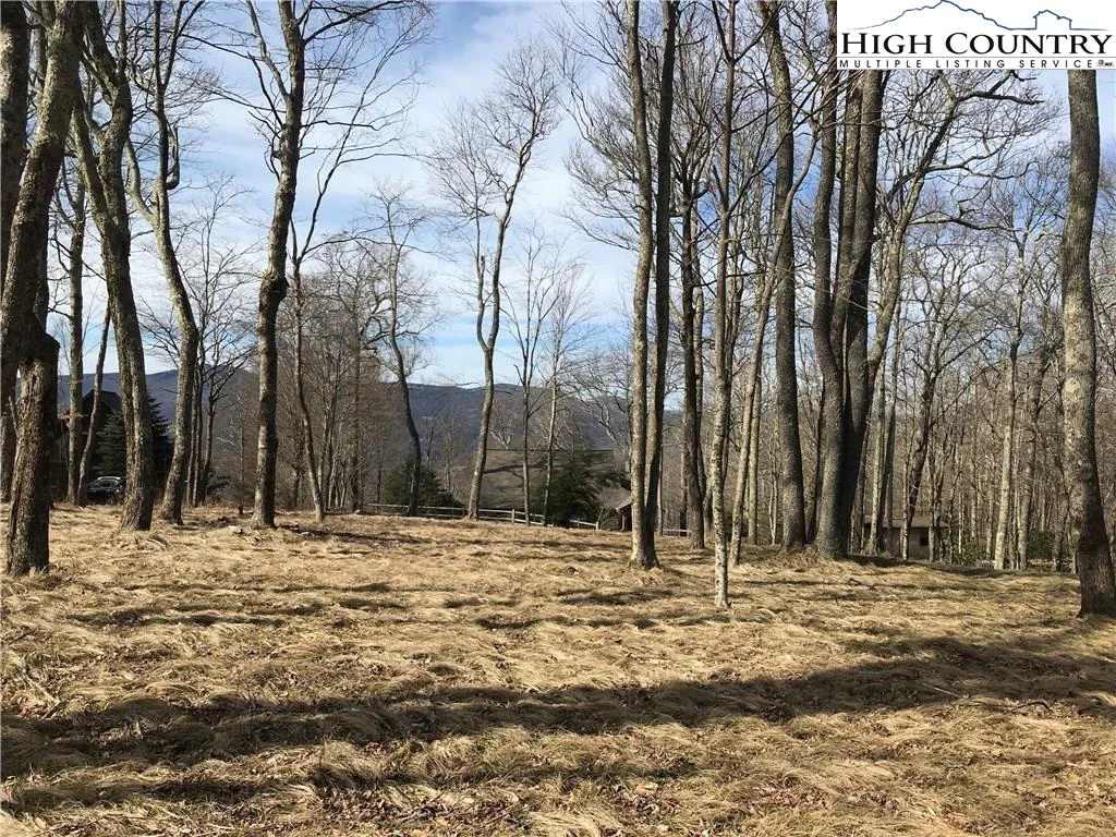 Image number 1 for the current listing