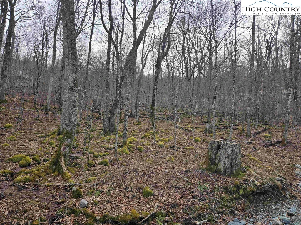 Image number 21 for the current listing