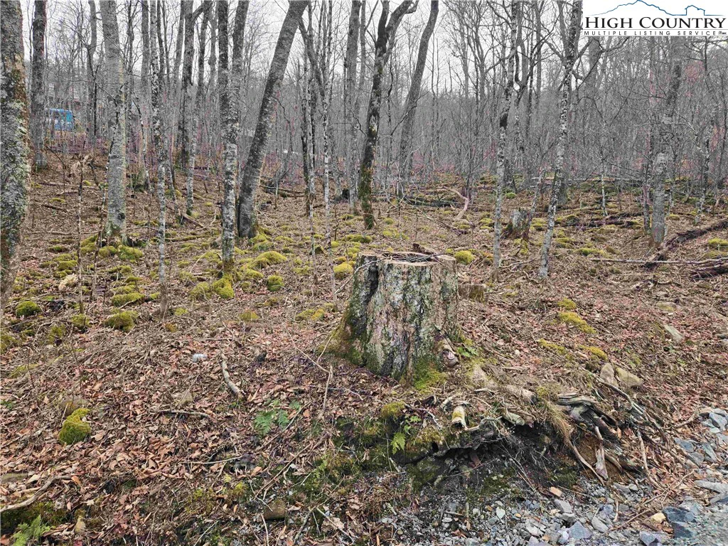 Image number 15 for the current listing