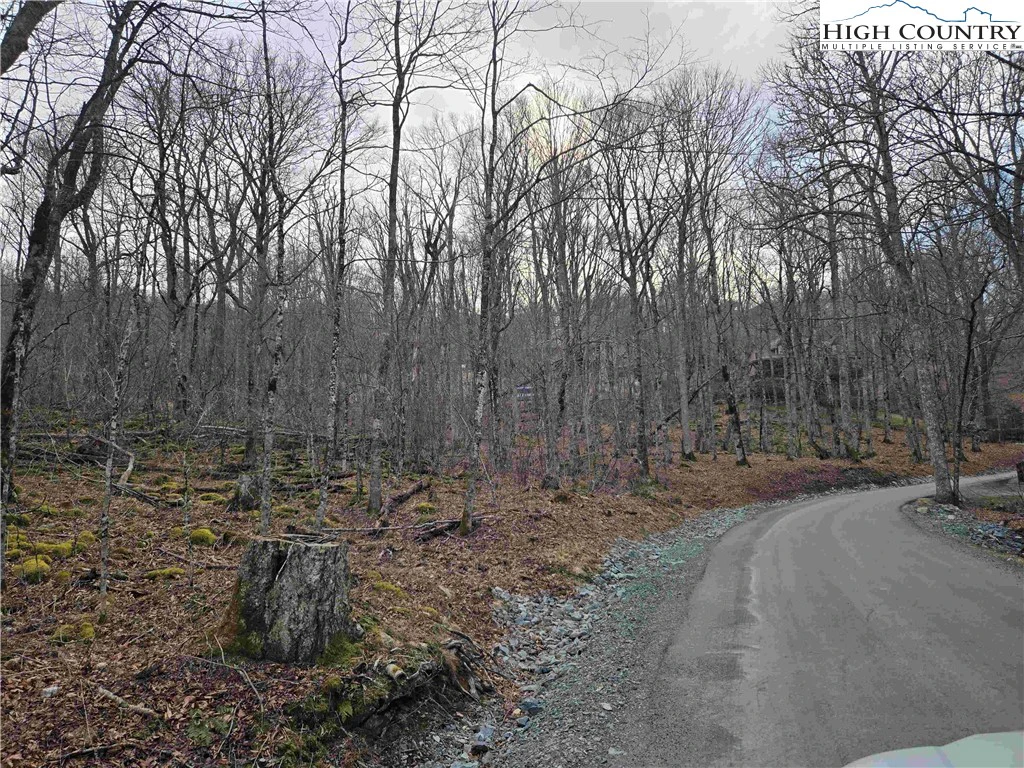 Image number 2 for the current listing