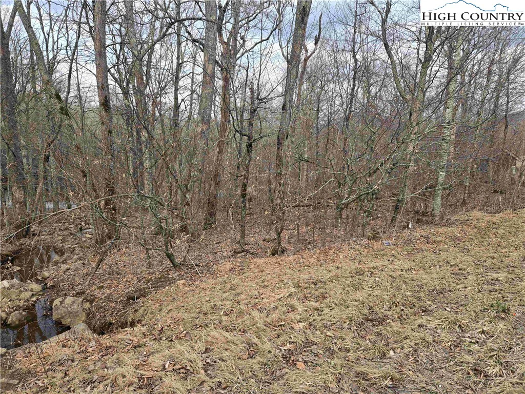 Image number 12 for the current listing
