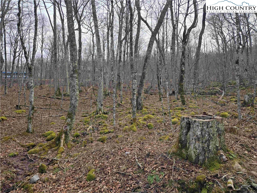 Image number 11 for the current listing