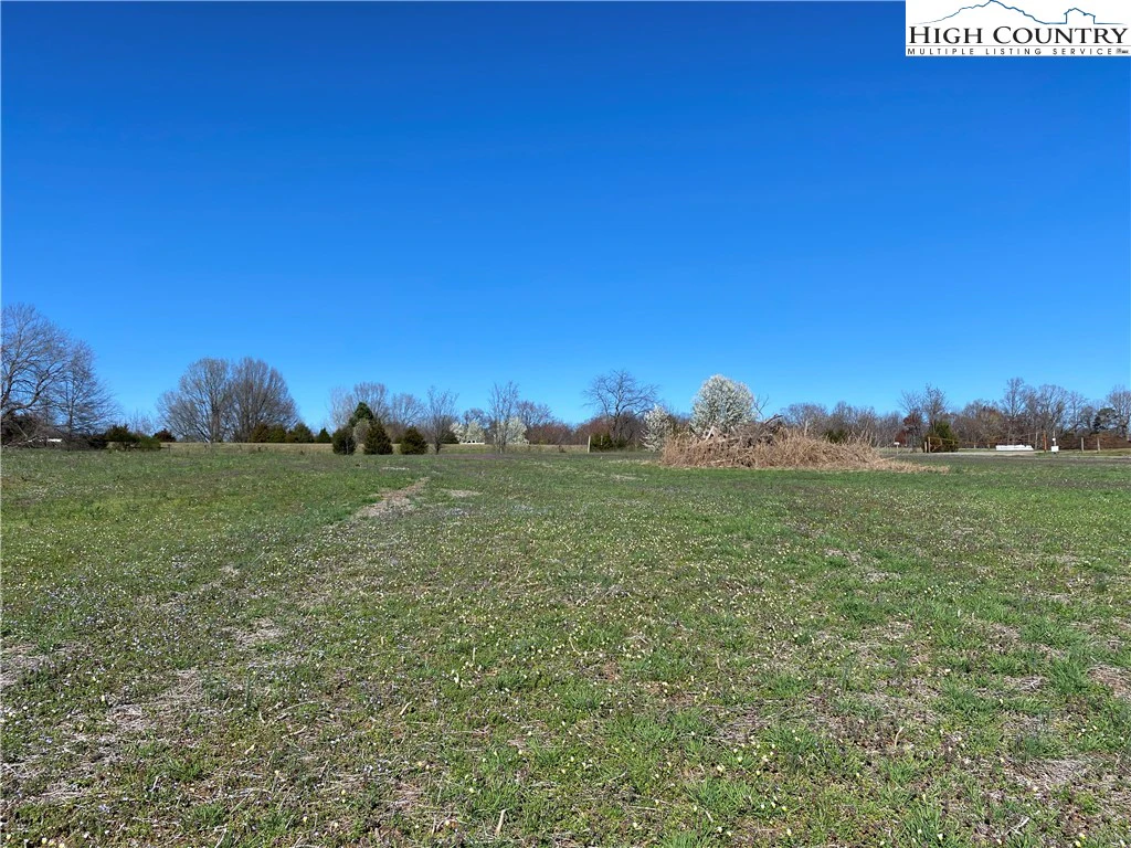 Image number 1 for the current listing