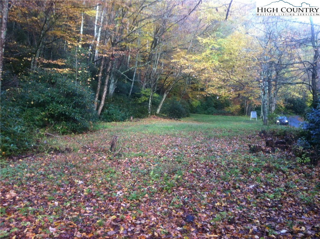 Image number 1 for the current listing