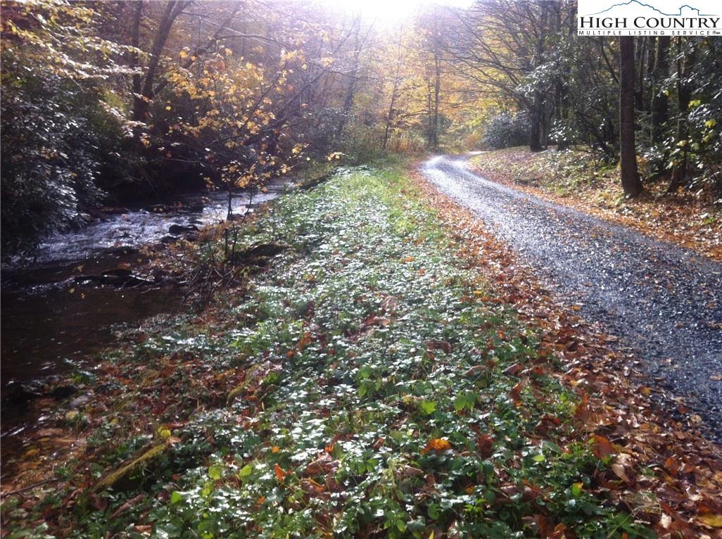 Image number 3 for the current listing