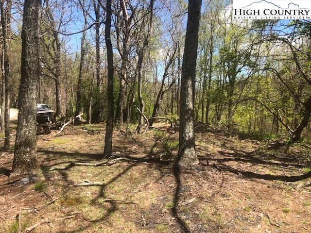 Image number 1 for the current listing