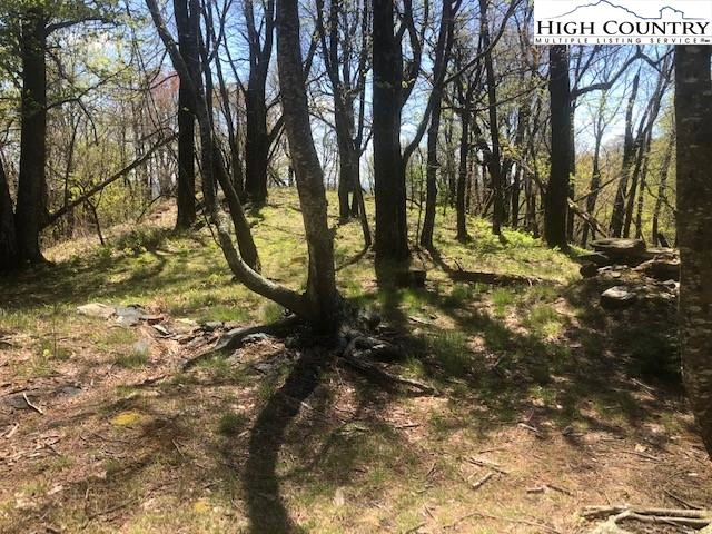 Image number 3 for the current listing
