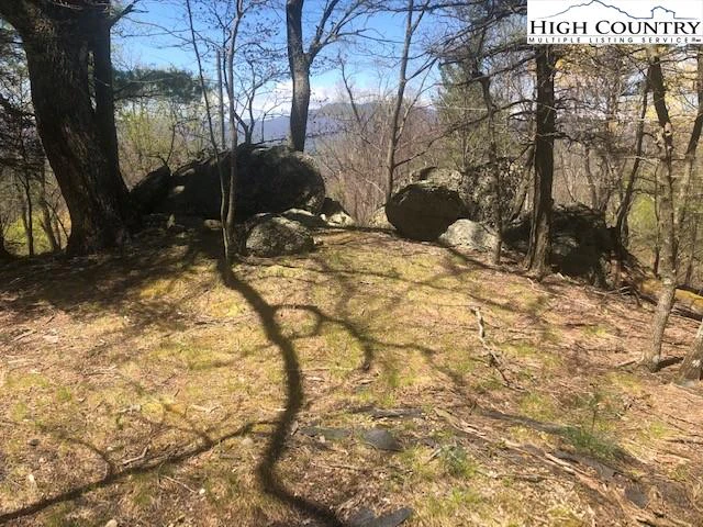 Image number 4 for the current listing