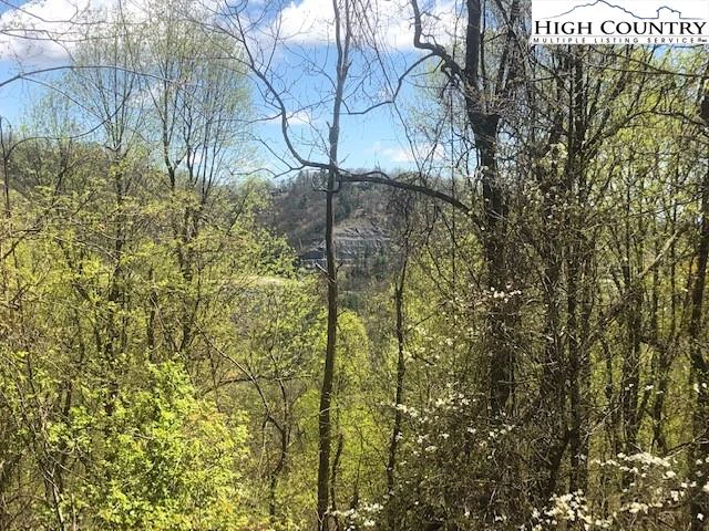 Image number 7 for the current listing